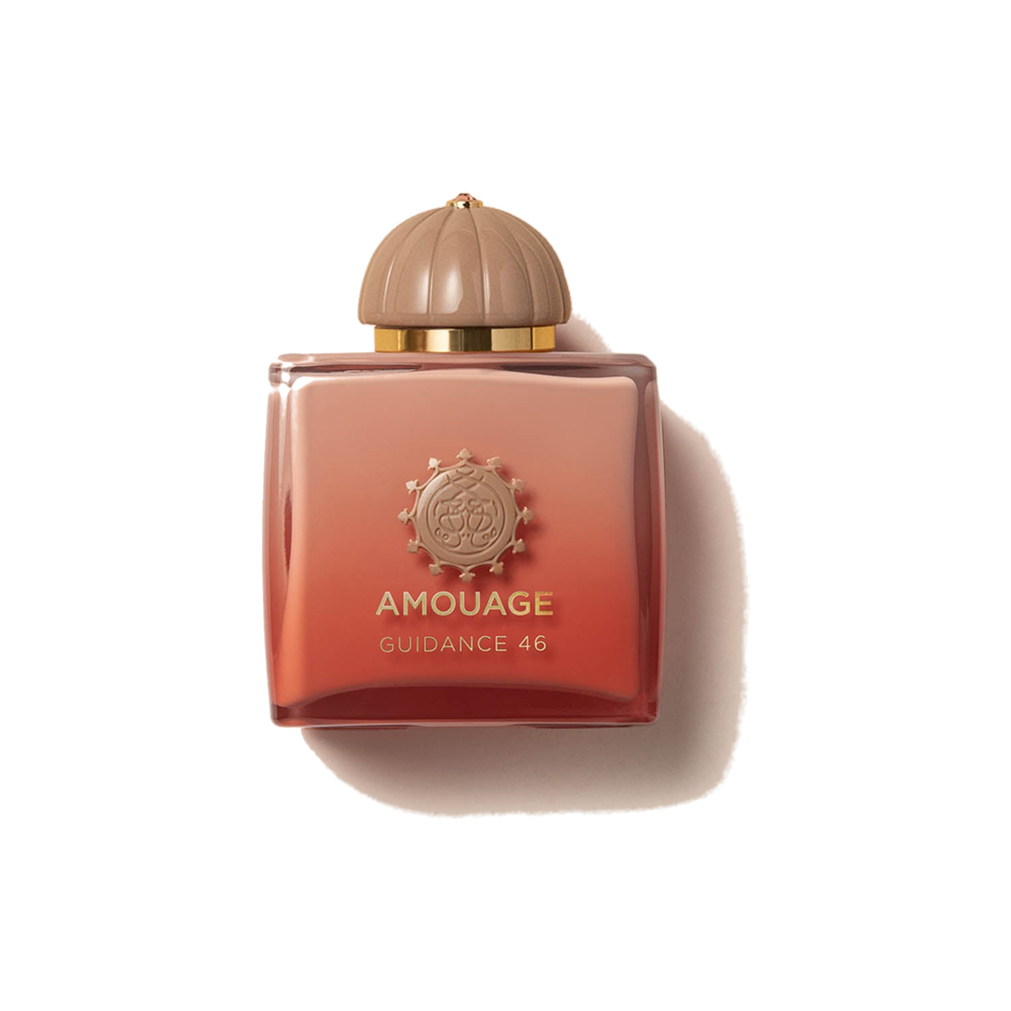 Amouage Guidance 46