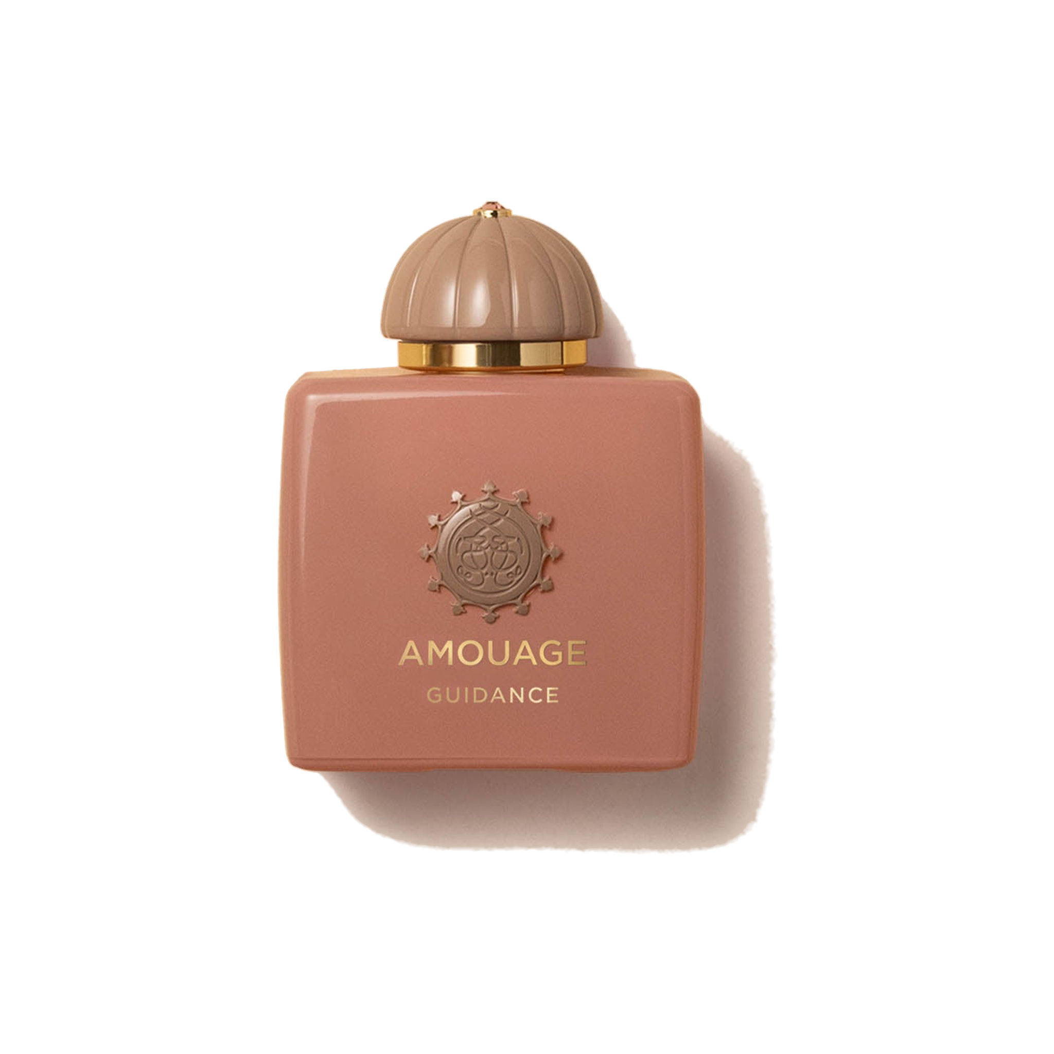 Amouage Guidance