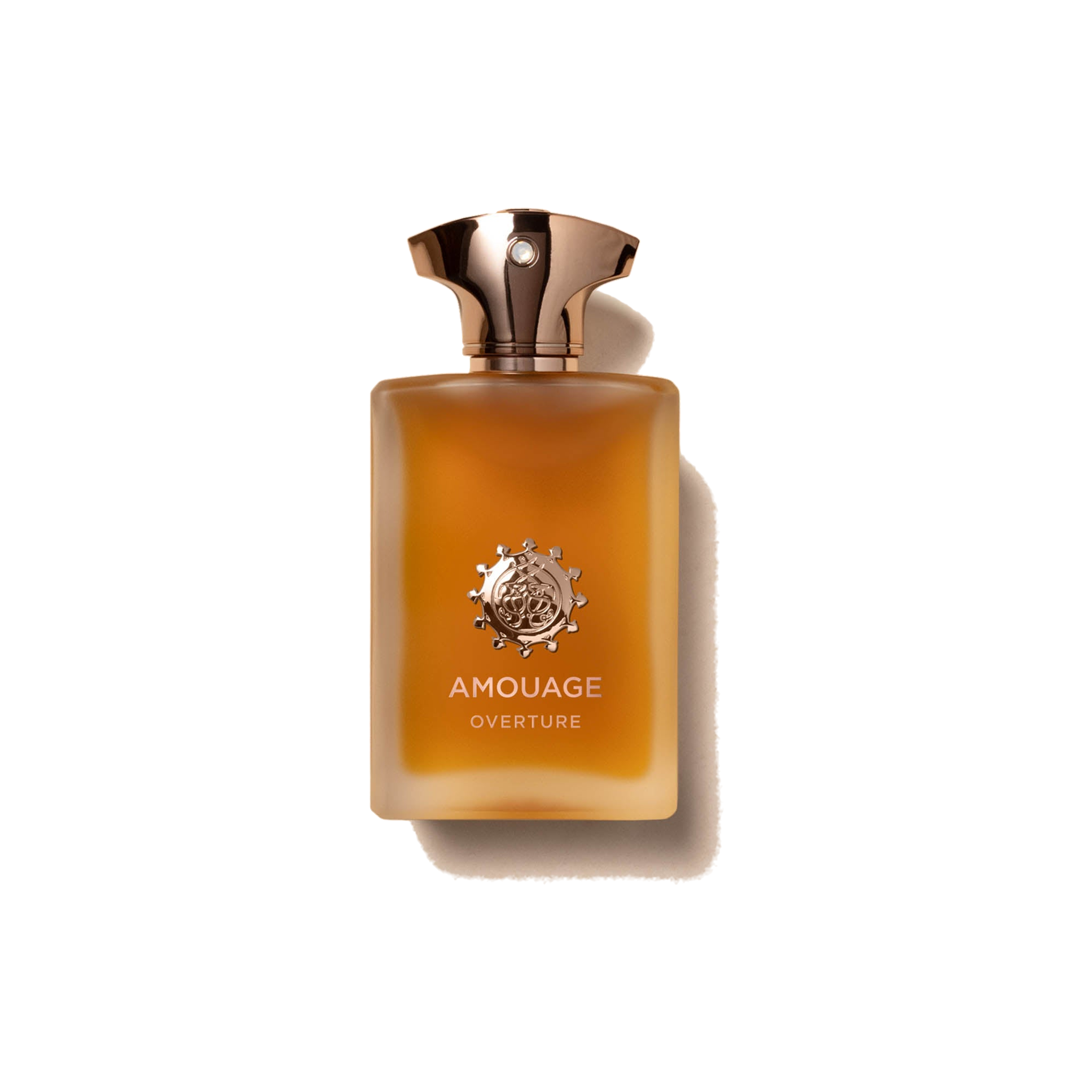 Amouage Overture Man