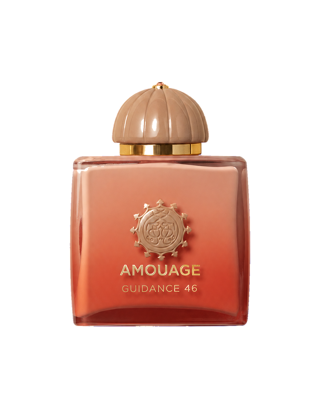 Amouage Guidance 46