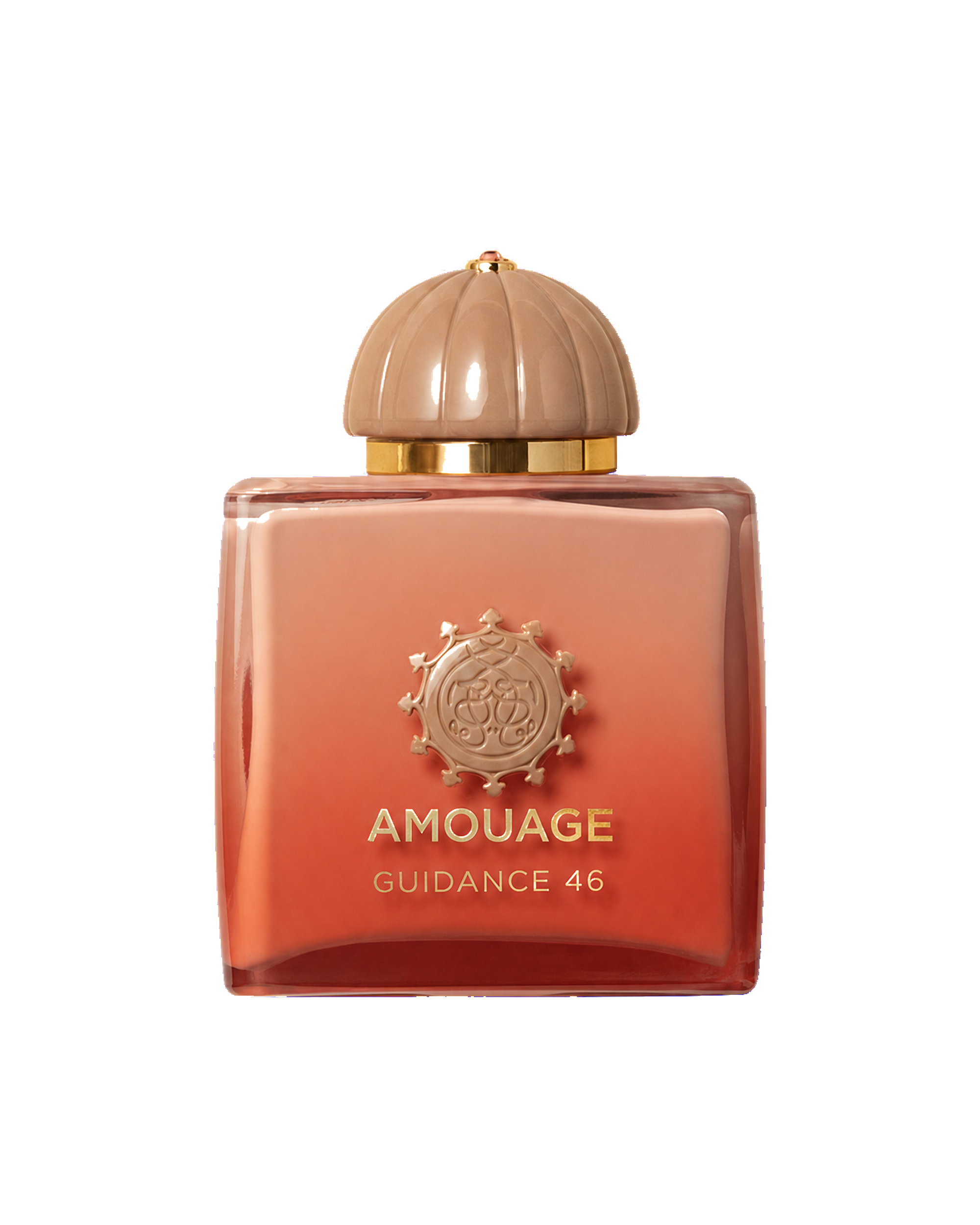Amouage Guidance 46