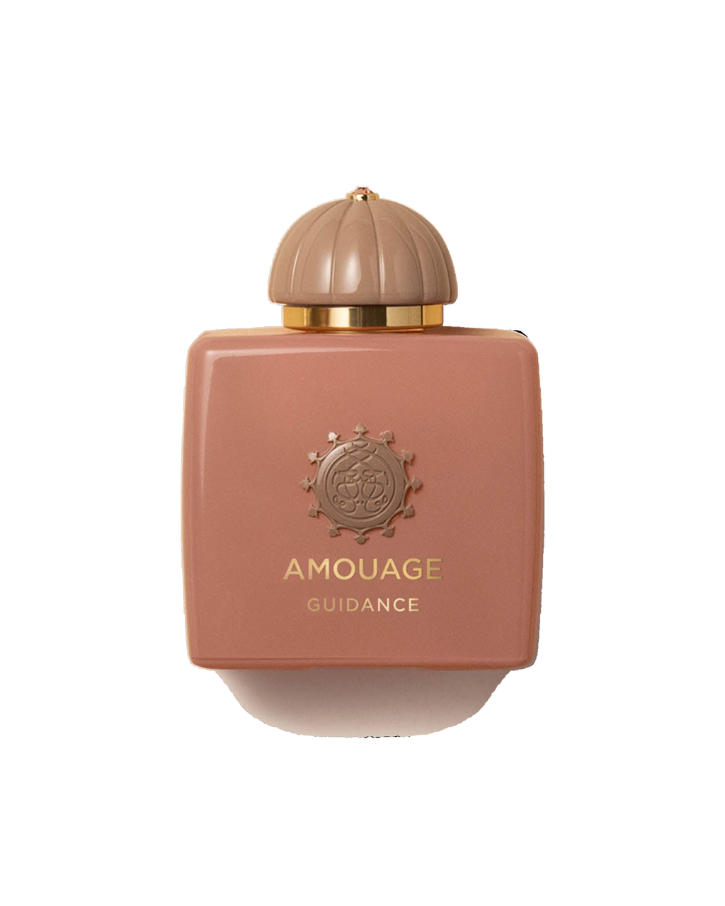 Amouage Guidance