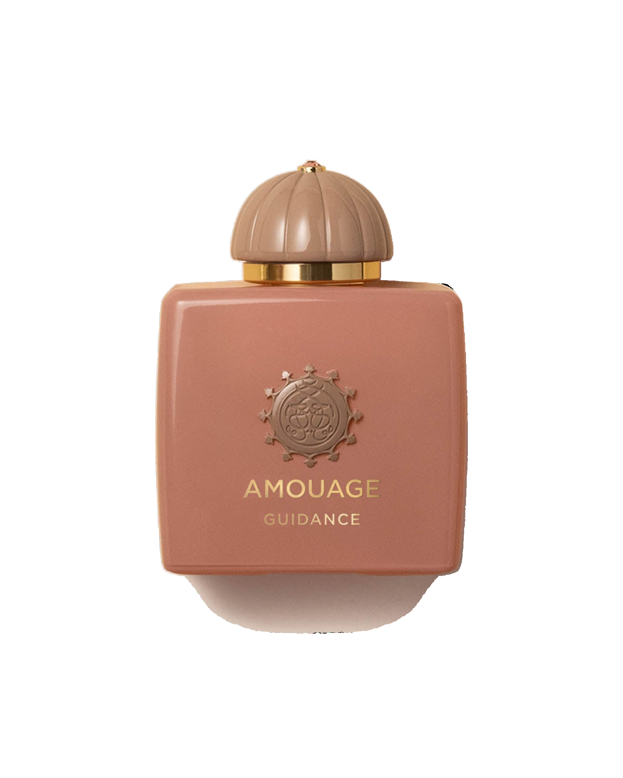 Amouage Guidance