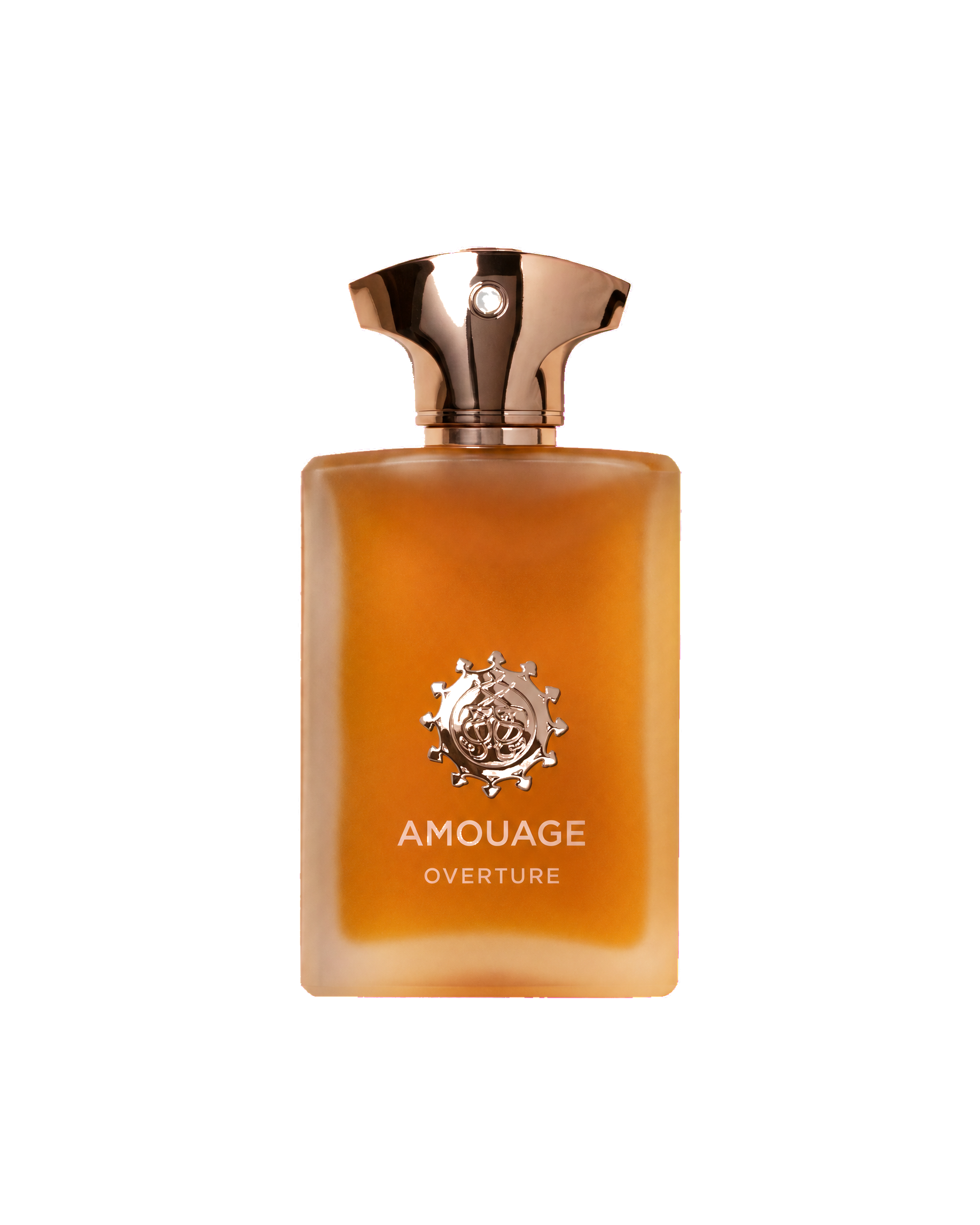 Amouage Overture Man